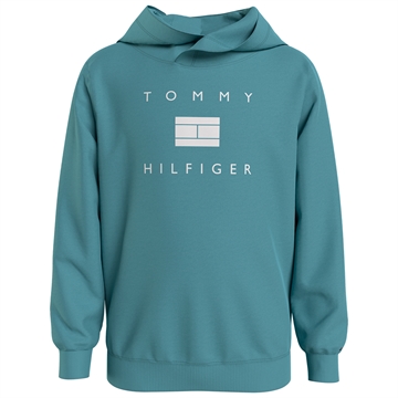 Tommy Hilfiger Hoodie Logo 7340 Crest
